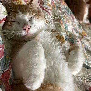 Meet your Posher, Cathy